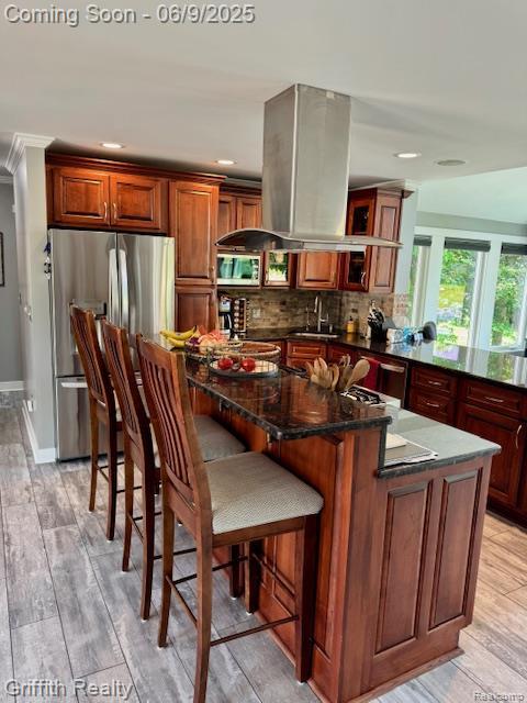 1158 Camelot Dr, Pinckney, MI 48169 - kitchen featuring appliances with stainless steel finishes, island exhaust hood, tasteful backsplash, light wood-style floors, and a kitchen island