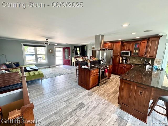 1158 Camelot Dr, Pinckney, MI 48169 - kitchen featuring stainless steel appliances, open floor plan, a kitchen bar, island exhaust hood, and light wood-type flooring