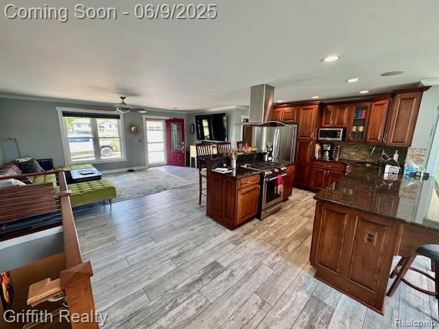 1158 Camelot Dr, Pinckney, MI 48169 - kitchen featuring appliances with stainless steel finishes, a kitchen bar, island range hood, open floor plan, and light wood-style flooring