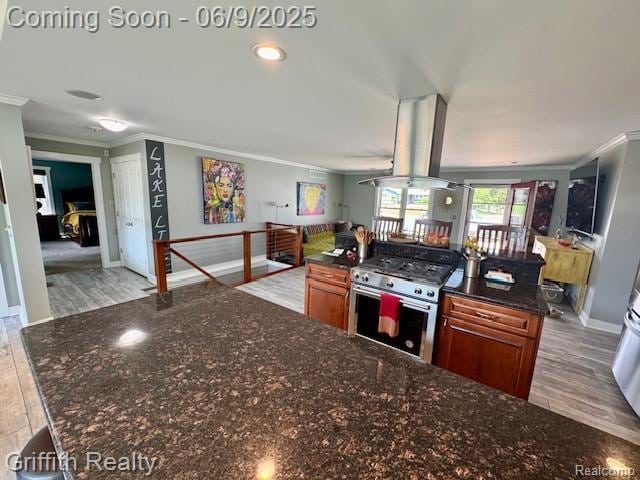 1158 Camelot Dr, Pinckney, MI 48169 - kitchen featuring island exhaust hood, crown molding, stainless steel range with gas cooktop, light wood-style flooring, and baseboards