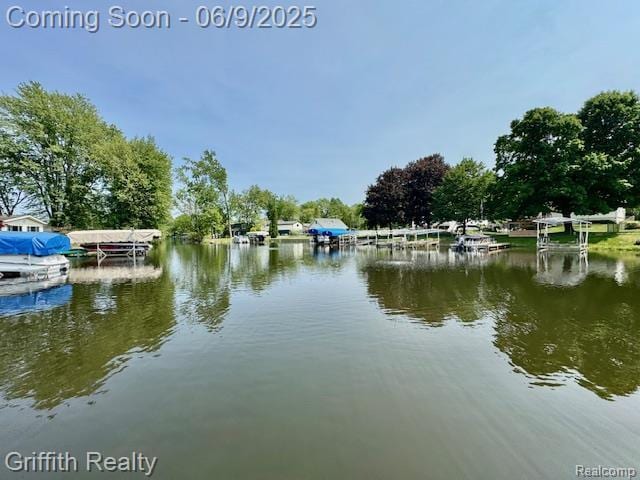 1158 Camelot Dr, Pinckney, MI 48169 - water view with a dock