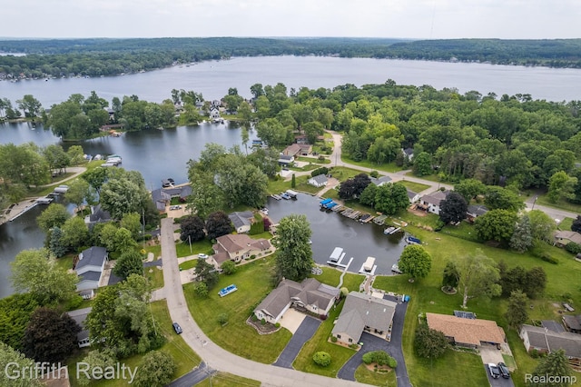 1158 Camelot Dr, Pinckney, MI 48169 - photo 1