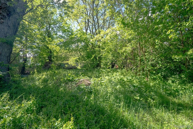 1032 Marston St, Detroit, MI 48211 - photo 4