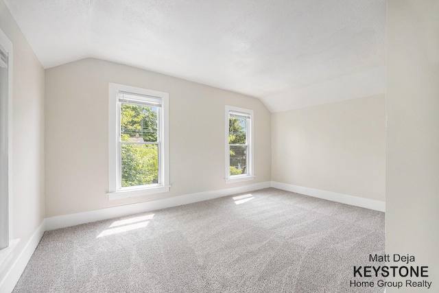 109 Leonard St NE, Grand Rapids, MI 49503 - additional living space with lofted ceiling, carpet floors, baseboards, and a textured ceiling