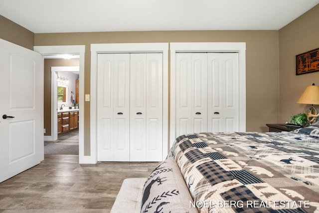 16507 Sleeper St, Grand Haven, MI 49417 - bedroom with multiple closets, light wood-type flooring, and a sink