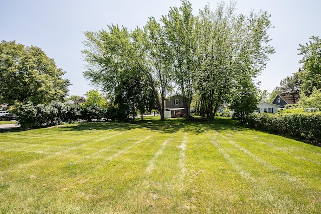 1196 Rathfon Cir, Saline, MI 48176 - view of grassy yard