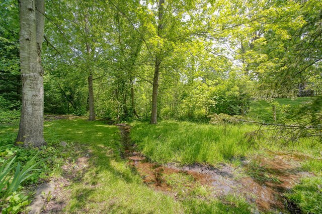 7877 Norfolk Dr, Onsted, MI 49265 - photo 48