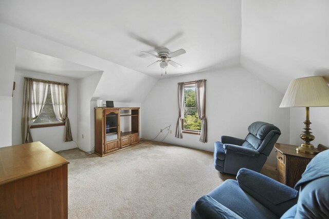 7877 Norfolk Dr, Onsted, MI 49265 - photo 29