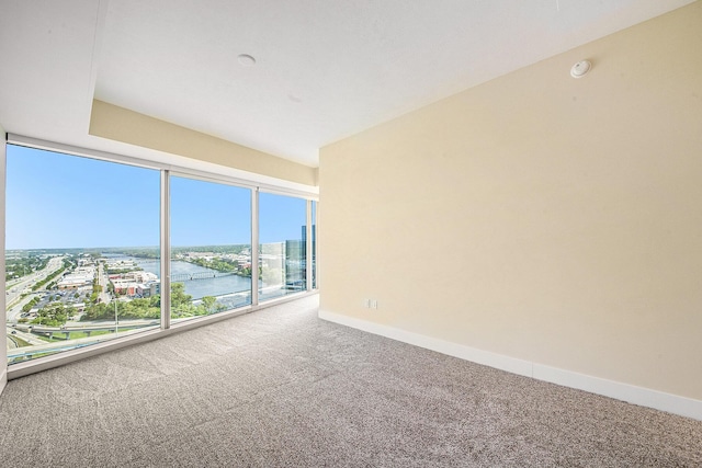 335 Bridge St NW Unit 2005, Grand Rapids, MI 49504 - spare room with carpet floors, baseboards, a smoke detector, and a city view