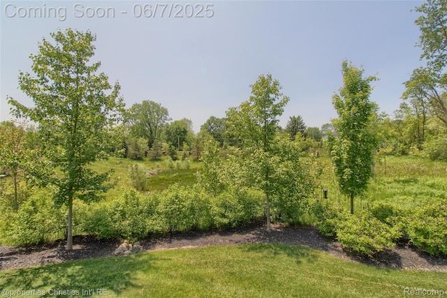 49062 Honey Tree Ct, Northville, MI 48168 - view of yard