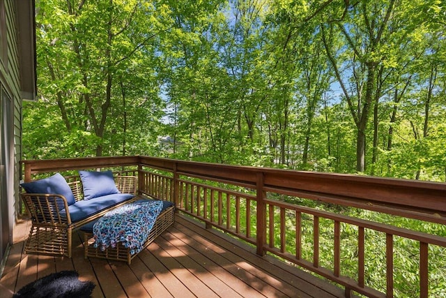 3427 E Dobson Pl, Ann Arbor, MI 48105 - photo 66