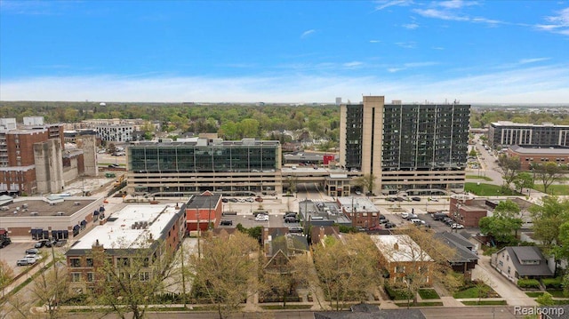 647 Ann St, Birmingham, MI 48009 - view of city