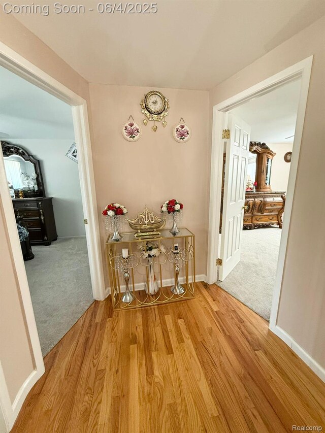 35677 Tina Dr, Warren, MI 48310 - corridor with wood finished floors, baseboards, and carpet floors