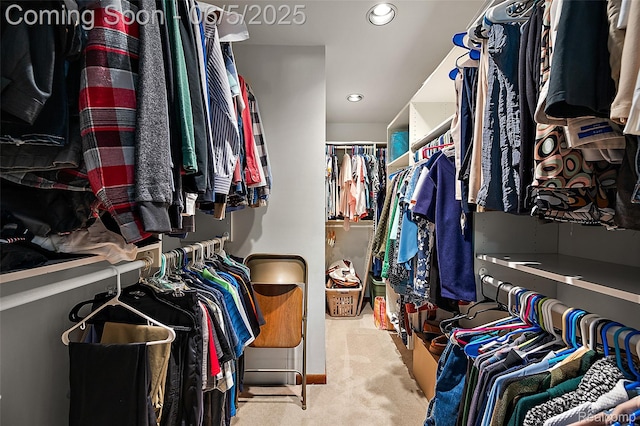 6730 Whiting Dr, Troy, MI 48098 - walk in closet with carpet