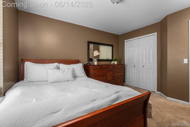 9299 Appleview Ct, Brighton, MI 48116 - bedroom featuring light carpet and a closet