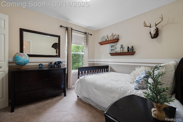 9299 Appleview Ct, Brighton, MI 48116 - bedroom featuring light colored carpet