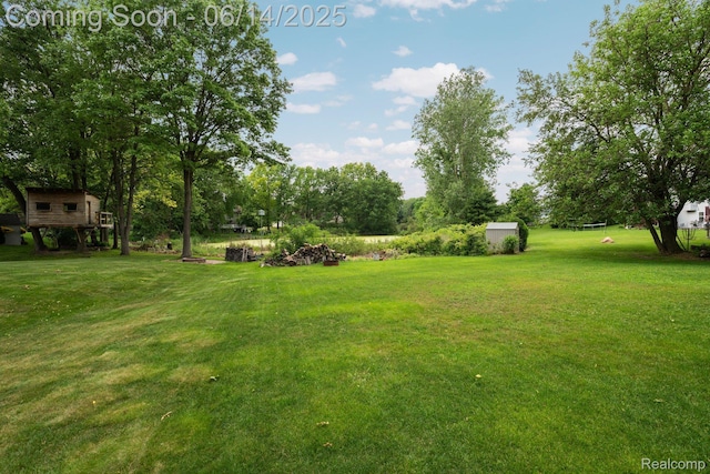 9299 Appleview Ct, Brighton, MI 48116 - view of green lawn with a shed