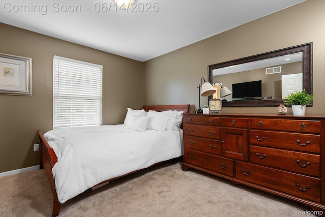 9299 Appleview Ct, Brighton, MI 48116 - bedroom with light carpet and baseboards