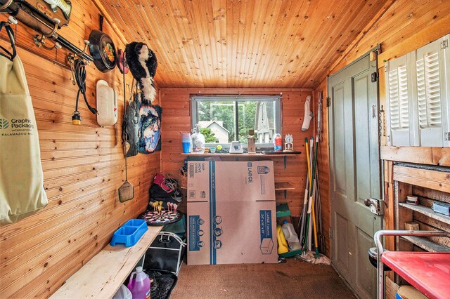 1754 Maggie St, Fountain, MI 49410 - view of storage area