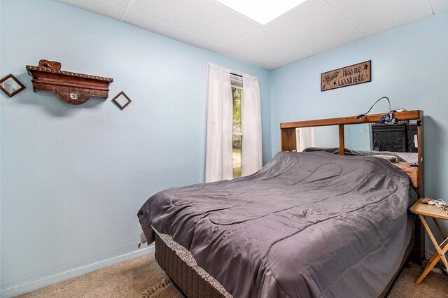 1754 Maggie St, Fountain, MI 49410 - bedroom featuring carpet, baseboards, and a paneled ceiling