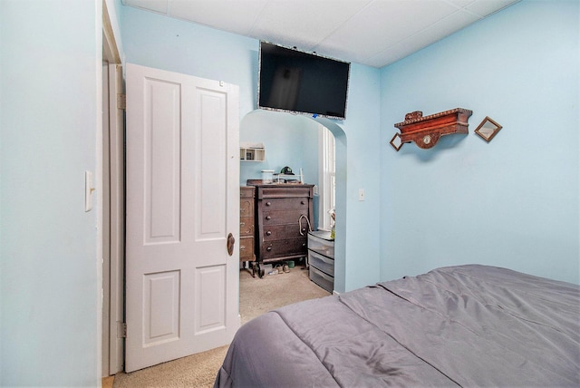 1754 Maggie St, Fountain, MI 49410 - bedroom with light carpet and arched walkways