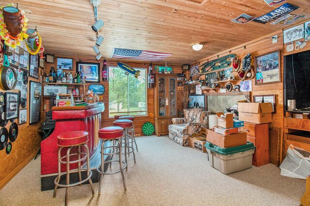 1754 Maggie St, Fountain, MI 49410 - indoor dry bar with carpet, wooden walls, and wood ceiling
