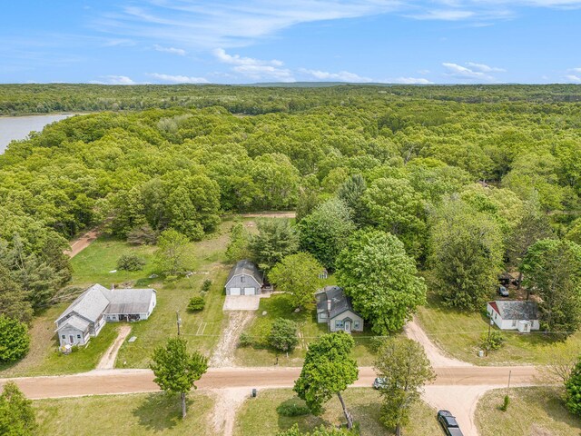 1754 Maggie St, Fountain, MI 49410 - aerial overview of property's location with a heavily wooded area