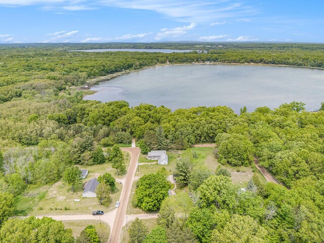 1754 Maggie St, Fountain, MI 49410 - aerial view of a forest and a nearby body of water