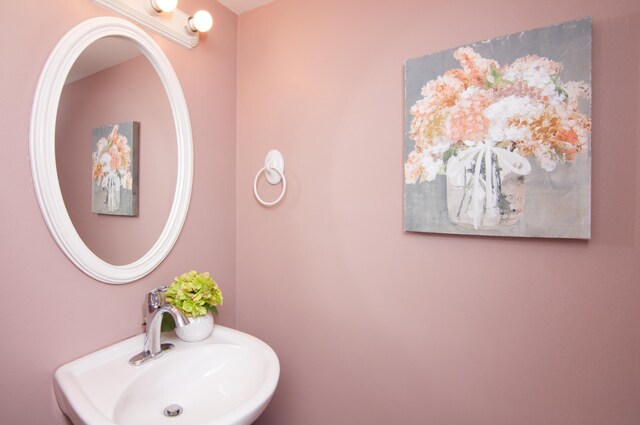 19578 Crystal Lake Dr, Northville, MI 48167 - bathroom featuring a sink