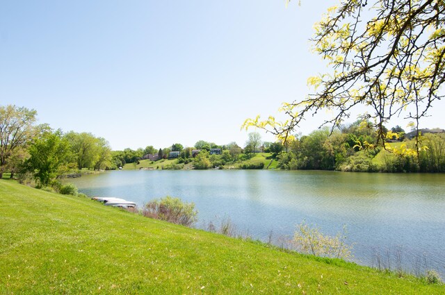 19578 Crystal Lake Dr, Northville, MI 48167 - water view