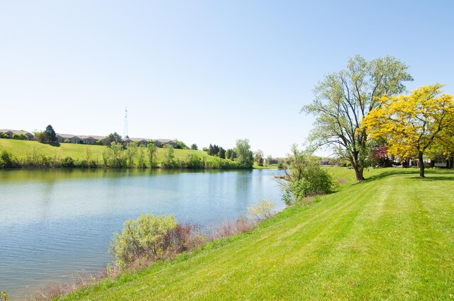 19578 Crystal Lake Dr, Northville, MI 48167 - water view