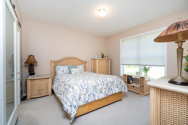 30877 County Road 687, Bangor, MI 49013 - bedroom with carpet flooring