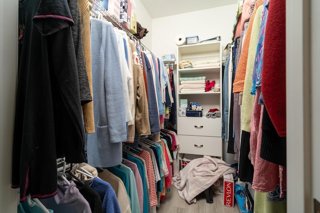 30877 County Road 687, Bangor, MI 49013 - spacious closet with wood finished floors