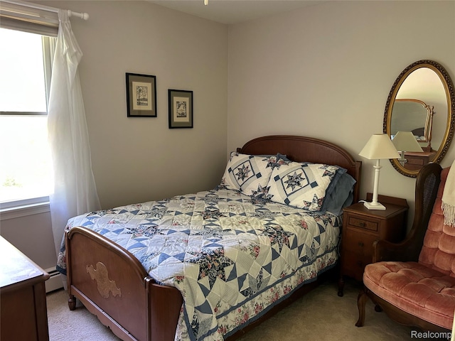 1690 Cedar Knoll Ln, Caro, MI 48723 - bedroom featuring carpet floors and a baseboard radiator