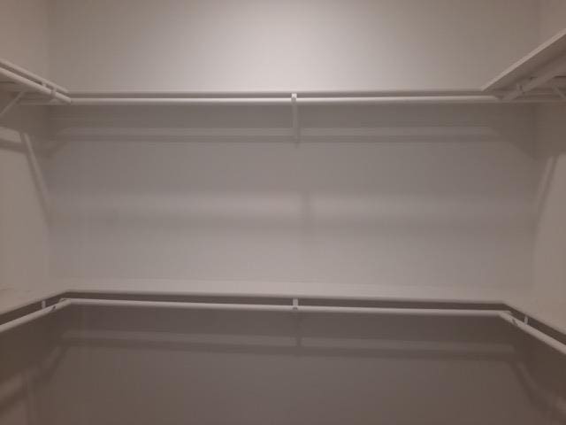 16445 Sleepy Hollow Dr, Fenton, MI 48430 - view of spacious closet