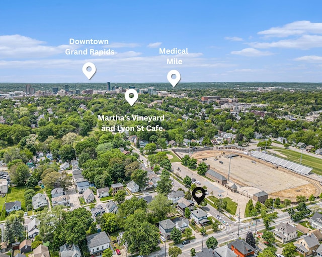 75 Diamond Ave NE, Grand Rapids, MI 49503 - bird's eye view of a tree filled landscape