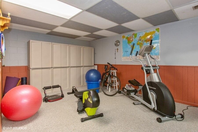 1787 Trafalgar Dr, Saint Joseph, MI 49085 - workout area with a drop ceiling, wainscoting, and wood walls