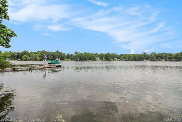 1704 Clark Lake Rd, Brighton, MI 48114 - water view featuring a boat dock
