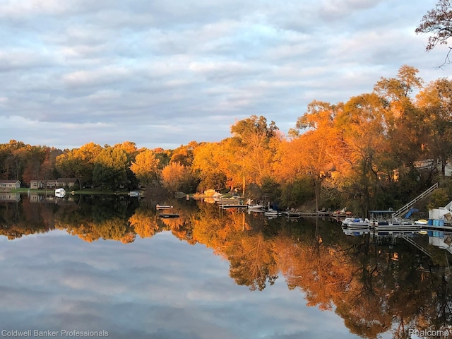 1704 Clark Lake Rd, Brighton, MI 48114 - water view with a forest