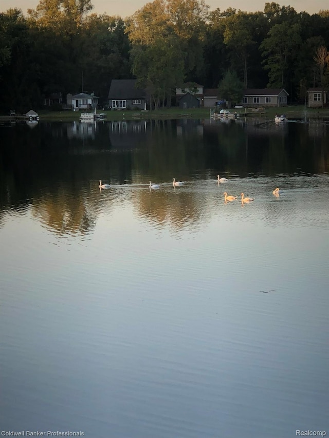 1704 Clark Lake Rd, Brighton, MI 48114 - water view
