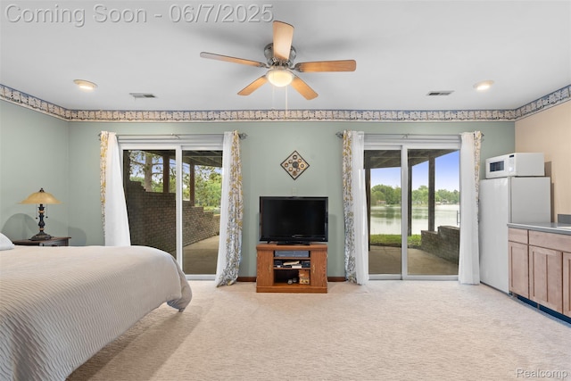 6300 Bullard Rd, Fenton, MI 48430 - bedroom featuring access to outside, multiple windows, and light colored carpet