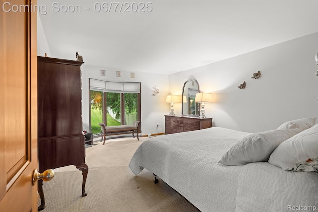 6300 Bullard Rd, Fenton, MI 48430 - view of carpeted bedroom