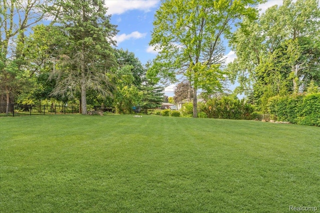 2985 Lacota Rd, Farmington, MI 48328 - view of yard