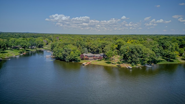 4298 Braeburn Ct, Norton Shores, MI 49441 - bird's eye view of a forest and a large body of water