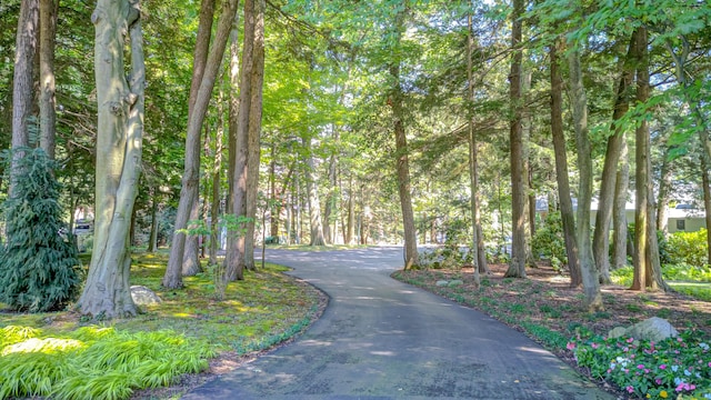 4298 Braeburn Ct, Norton Shores, MI 49441 - view of road