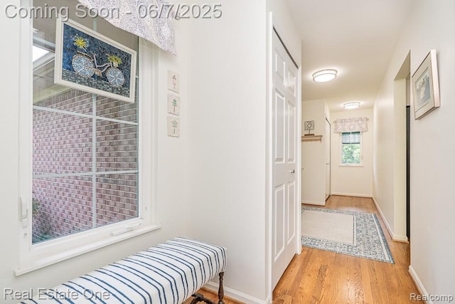 468 Orchard Ridge Dr, Lake Orion, MI 48362 - corridor with wood finished floors and baseboards