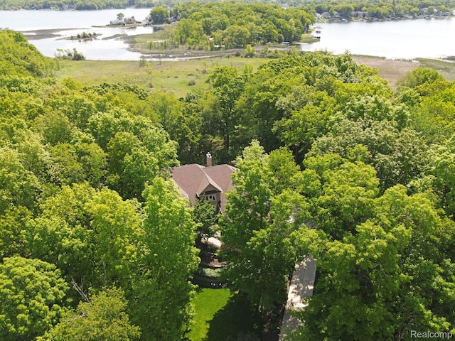 3587 Woodridge Dr, Howell, MI 48843 - photo 2