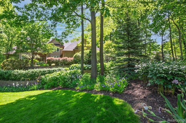 3587 Woodridge Dr, Howell, MI 48843 - photo 54