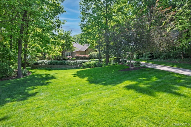 3587 Woodridge Dr, Howell, MI 48843 - photo 60