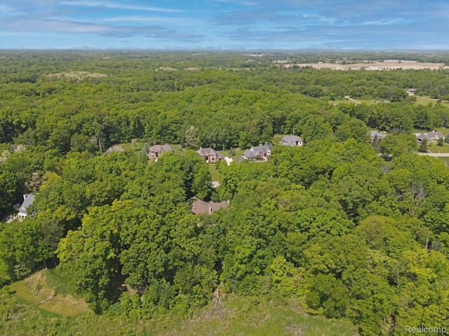3587 Woodridge Dr, Howell, MI 48843 - photo 55